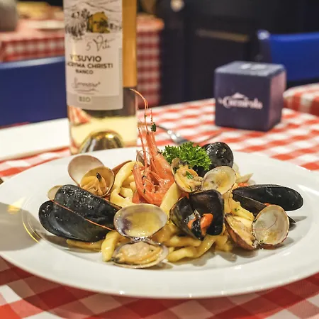 Antica Dimora Magi Pensjonat Półwysep Sorrentyński